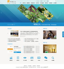 醫(yī)藥企業(yè)如何通過網(wǎng)站建設(shè)，鑄就卓越品牌形象